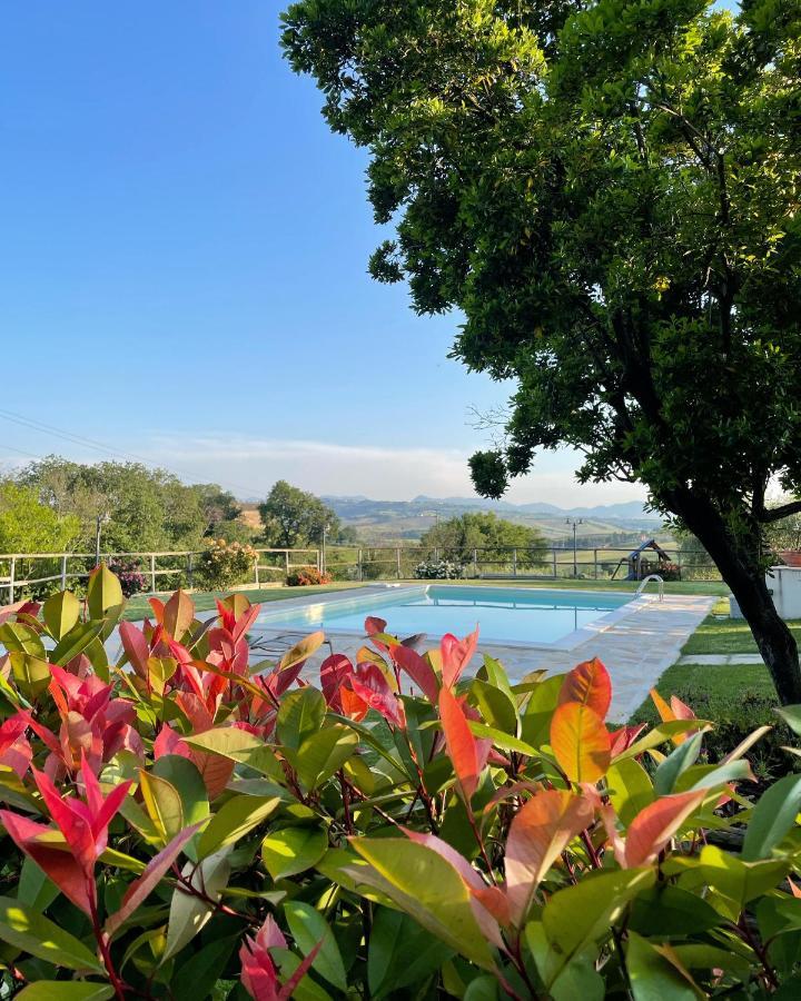 Montenovo Country House Ostra Vetere Exterior foto