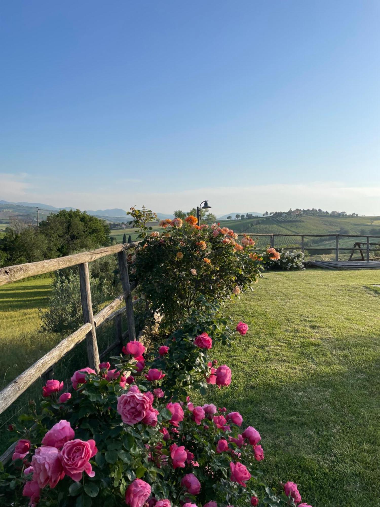 Montenovo Country House Ostra Vetere Exterior foto